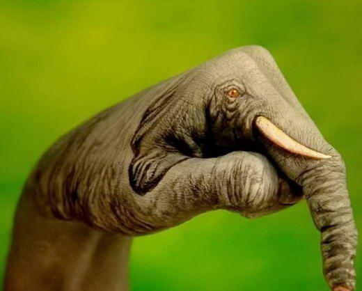 Karya Seni Dari Tangan Manusia yang MenakjubkanGuido Daniele lahir di Soverato (Itali