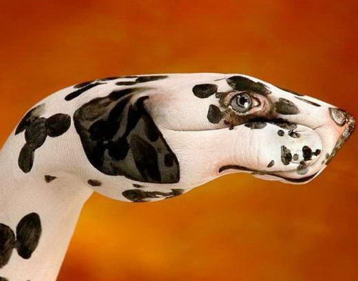 Karya Seni Dari Tangan Manusia yang MenakjubkanGuido Daniele lahir di Soverato (Itali