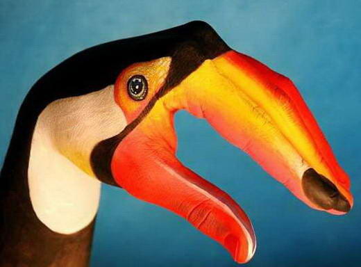 Karya Seni Dari Tangan Manusia yang MenakjubkanGuido Daniele lahir di Soverato (Itali