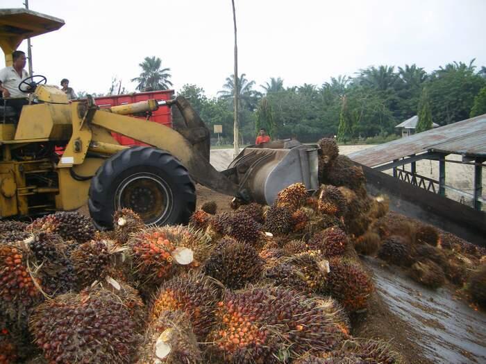 Ini Dia Wakil RI yang Masuk 200 Perusahaan Terbaik se-Asia