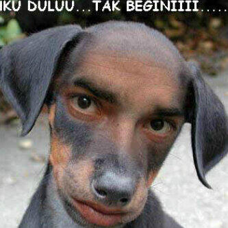teesss...