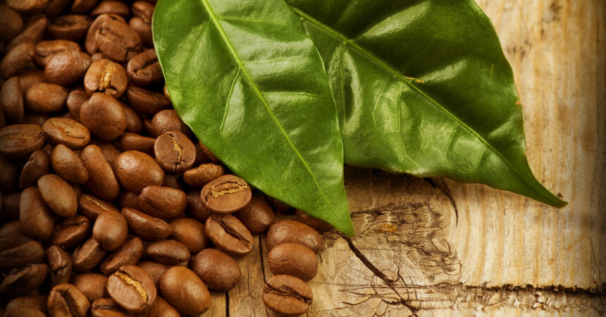 Fakta Unik Tentang Kopi Yang Jarang Diketahui Orang