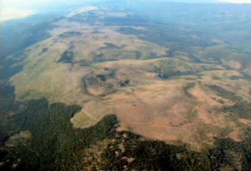 Inilah Makhluk Hidup Terbesar di Bumi..!!! (JAMUR??)