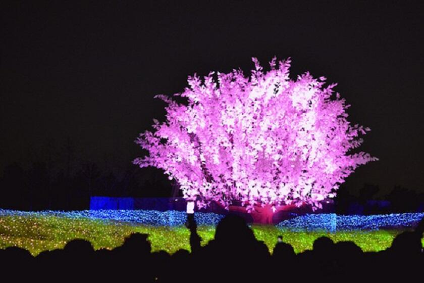 Cantiknya Terowongan Yang Dihiasi 7 Juta Lampu LED di Jepang.