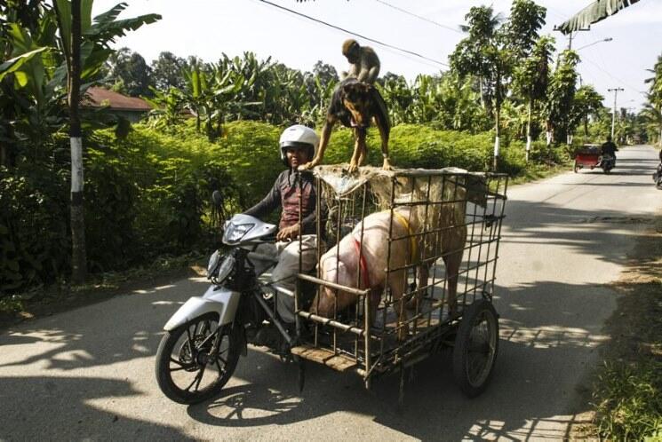 24 Foto-foto Terbaik Jurnalistik Indonesia 