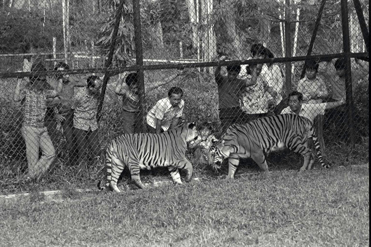 &#91;animal lover&#93; Inilah wajah Singapore zoo 40 tahun silam