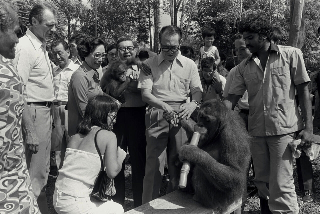 &#91;animal lover&#93; Inilah wajah Singapore zoo 40 tahun silam