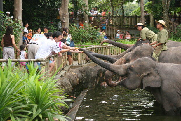 &#91;animal lover&#93; Inilah wajah Singapore zoo 40 tahun silam