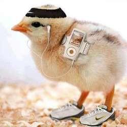 Ayaaaaam Ku . . .