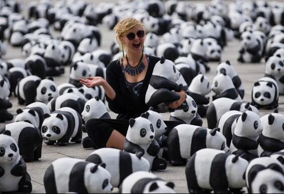 Serangan Panda Mini di Berlin &#91; yang suka panda, masuk &#93;
