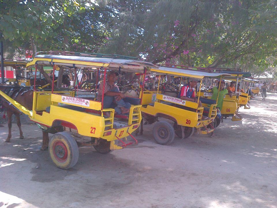PAKET LIBURAN DI PULO LOMBOK GAYA BACKPACKER