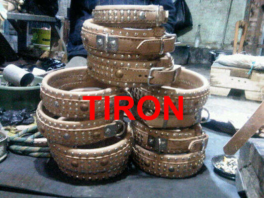 JUAL LEATHER COLLAR KULIT DUGONG (Adu Bagong) PITBUL ONLY MURMER !!!