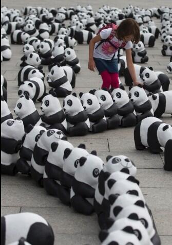 Serangan Panda Mini di Berlin &#91; yang suka panda, masuk &#93;