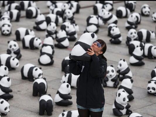 Serangan Panda Mini di Berlin &#91; yang suka panda, masuk &#93;