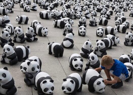 Serangan Panda Mini di Berlin &#91; yang suka panda, masuk &#93;