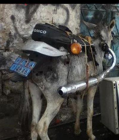 KREATIF GAN NGAKAK