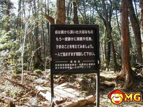 Menelusuri Hutan Aokigahara (Hutan Tempat Bunuh Diri di Jepang)
