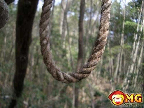 Menelusuri Hutan Aokigahara (Hutan Tempat Bunuh Diri di Jepang)