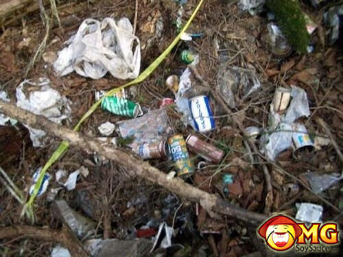 Menelusuri Hutan Aokigahara (Hutan Tempat Bunuh Diri di Jepang)