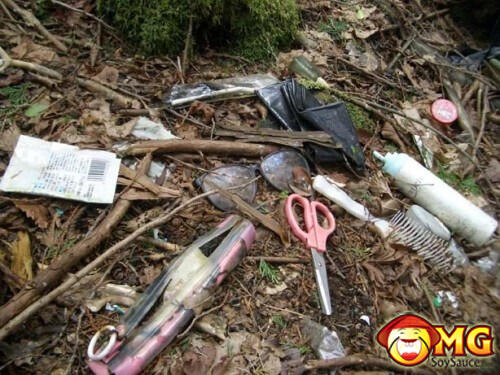 Menelusuri Hutan Aokigahara (Hutan Tempat Bunuh Diri di Jepang)
