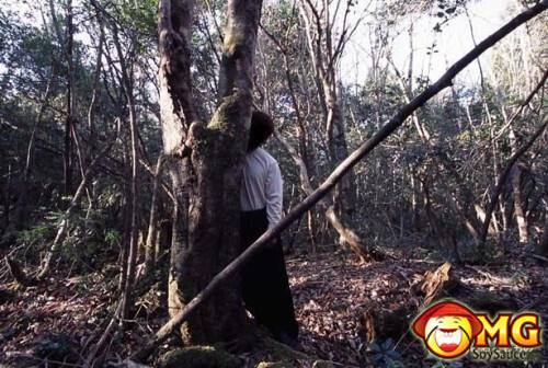 Menelusuri Hutan Aokigahara (Hutan Tempat Bunuh Diri di Jepang)