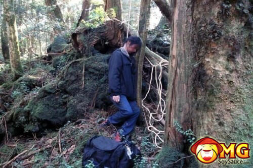 Menelusuri Hutan Aokigahara (Hutan Tempat Bunuh Diri di Jepang)