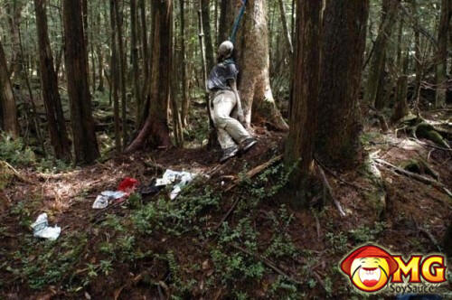 Menelusuri Hutan Aokigahara (Hutan Tempat Bunuh Diri di Jepang)