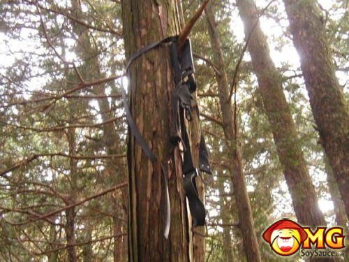 Menelusuri Hutan Aokigahara (Hutan Tempat Bunuh Diri di Jepang)