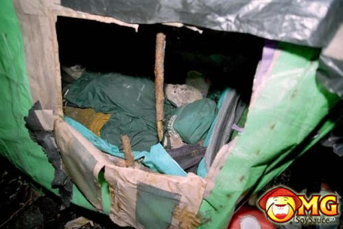 Menelusuri Hutan Aokigahara (Hutan Tempat Bunuh Diri di Jepang)