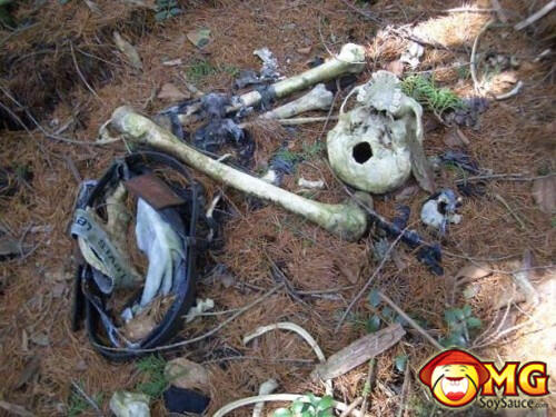 Menelusuri Hutan Aokigahara (Hutan Tempat Bunuh Diri di Jepang)