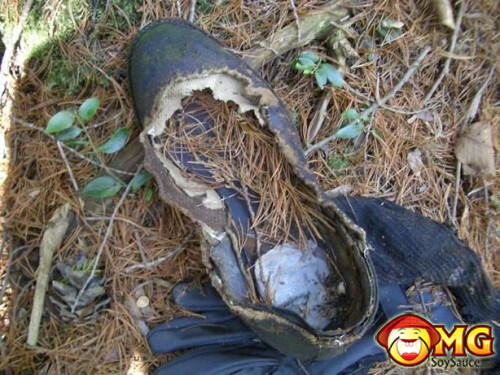 Menelusuri Hutan Aokigahara (Hutan Tempat Bunuh Diri di Jepang)