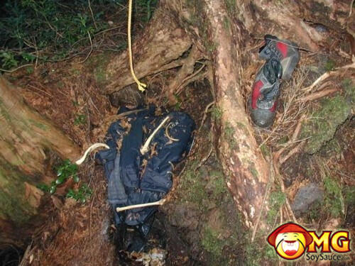 Menelusuri Hutan Aokigahara (Hutan Tempat Bunuh Diri di Jepang)
