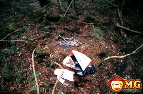 Menelusuri Hutan Aokigahara (Hutan Tempat Bunuh Diri di Jepang)