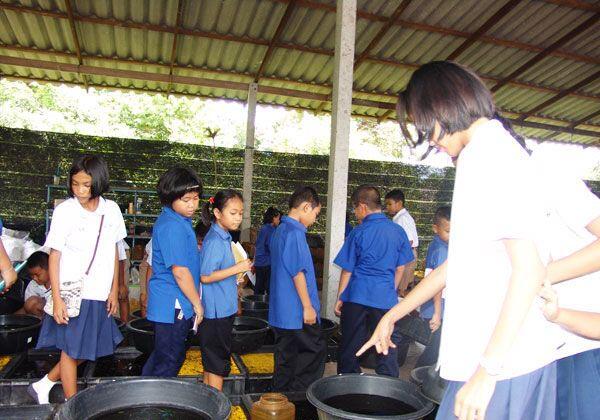 Ekstra kulikuler Anak Sekolah Dasar di Thailand ternyata mengasyikan