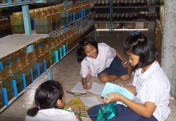 Ekstra kulikuler Anak Sekolah Dasar di Thailand ternyata mengasyikan