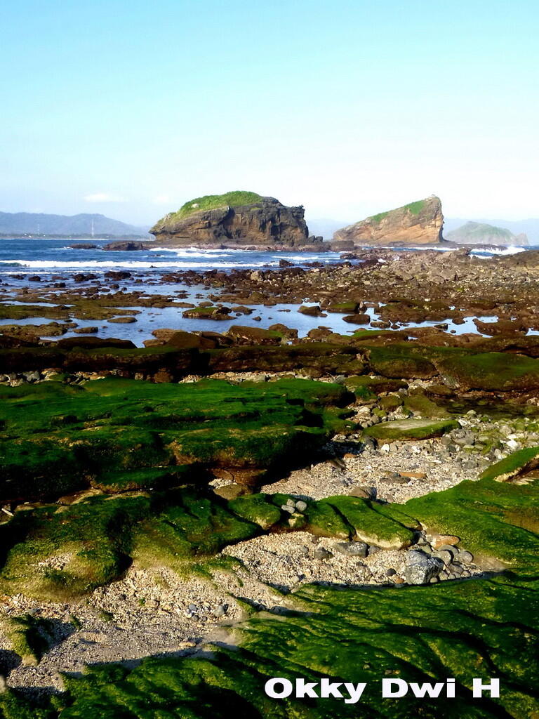 Pesona Pantai Tanjung Papuma dan Pantai Malikan
