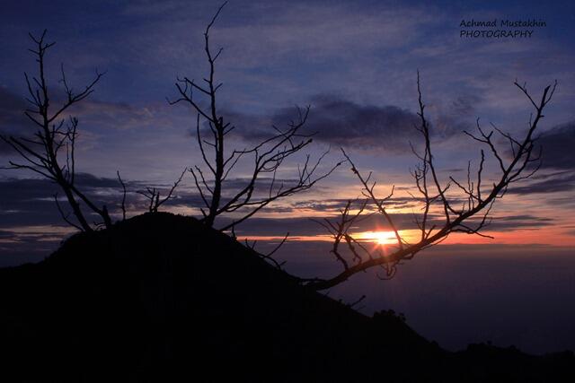 Cerita Si Gunung Dengan 1001 Puncak Harapanya (Merbabu)