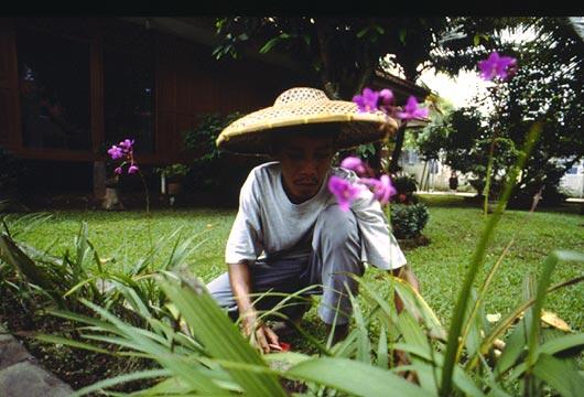 10 Pekerjaan di Indonesia yang Butuh Kesabaran Tinggi