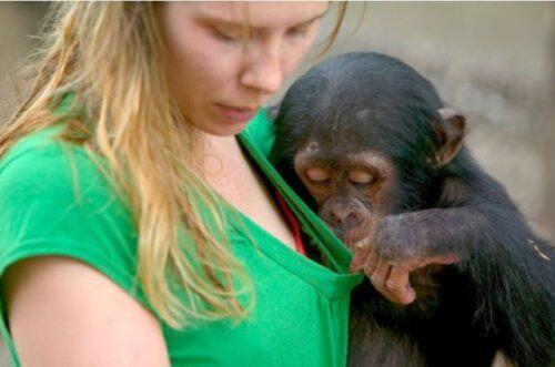 Hewan hewan Beruntung