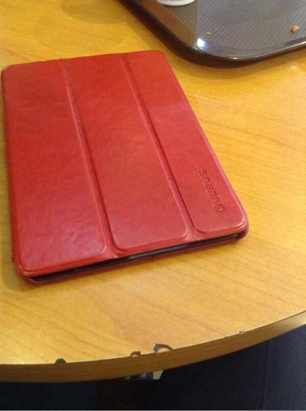iPad mini cellular plus wifi 16gb