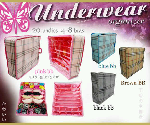 Underwear Organizer