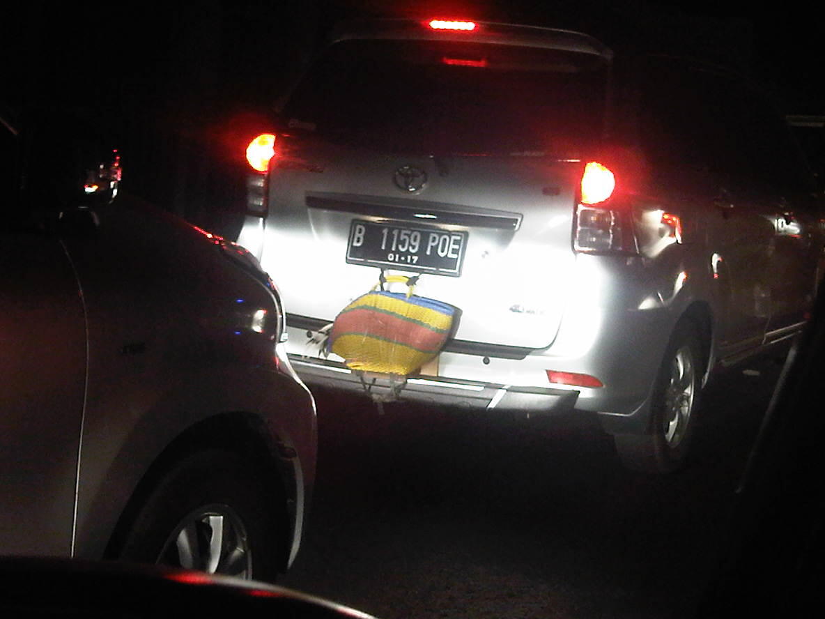 Mudik Asik Sama Peliharaan