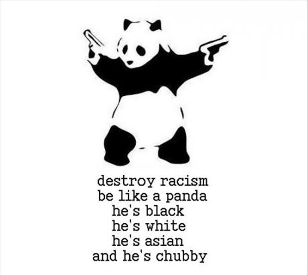Panda, A Least Racist Creature