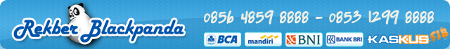 CAPDASE for Blackberry Torch 9810 & Orlando 9380