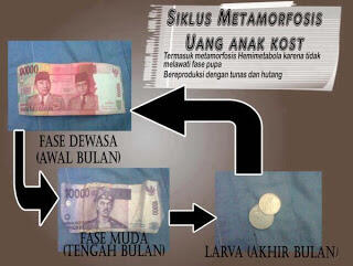 Tipe-Tipe Anak kost yang unik