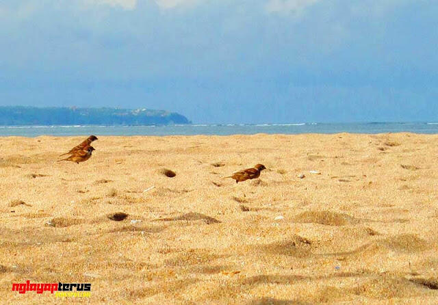 Ke Bali, Backpacker ala Awan Tenggara