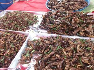 Kuliner Unik | Teh Mentega & Kecoak Goreng