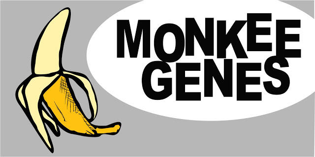 Skinny Jeans Denim Monkee Genes (34)
