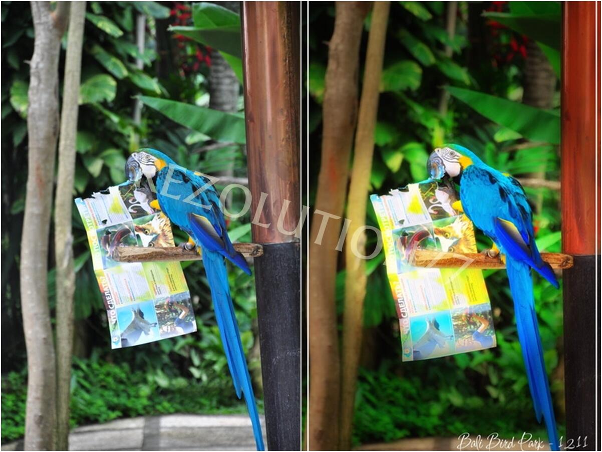 Jual Jasa Edit Foto , Retouch, Tusir , Kolase , Montase 