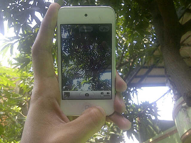IPOD TOUCH 4G 8GB (JAKARTA)